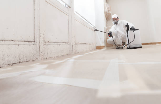 24/7 Emergency Crawl Space Mold Remediation experts in Hendersonville, TN